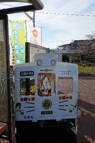DSC03385.JPG