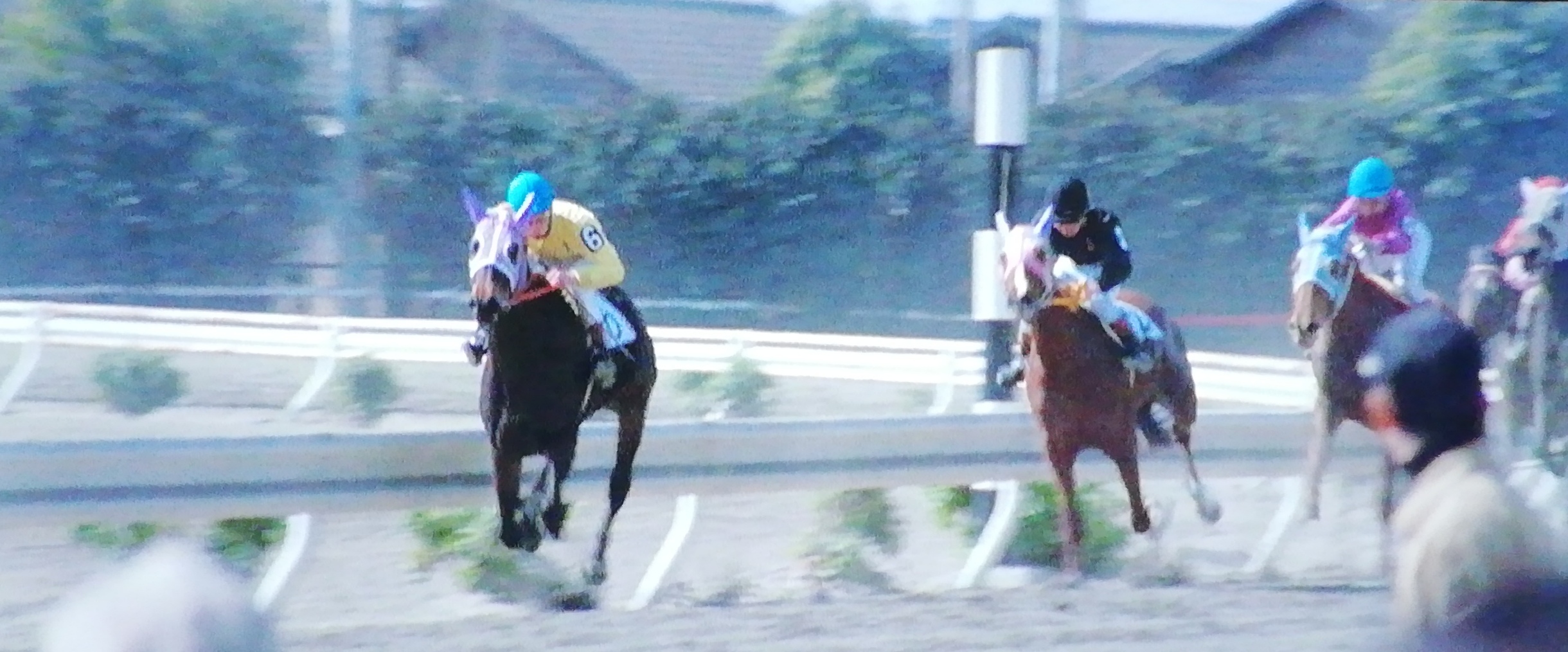 寅さんレースシーン.jpg