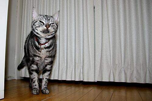 img_cyapi_8744.jpg