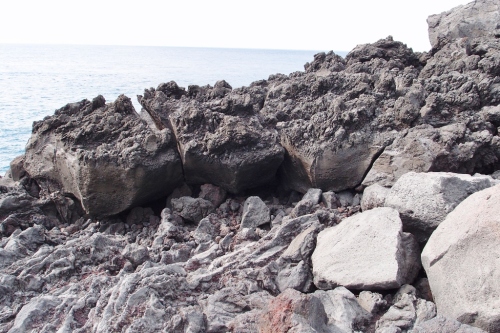 P8032414 (1024x683).jpg