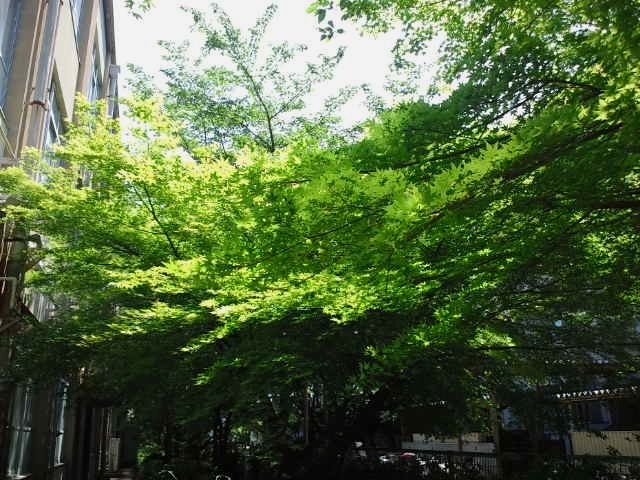 CA3J0025.JPG