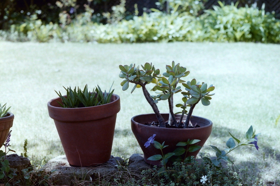 PICT0015 s.JPG
