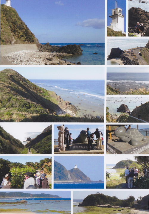 2014奄美大島17.JPG