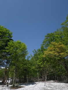 IMGP0729.jpg