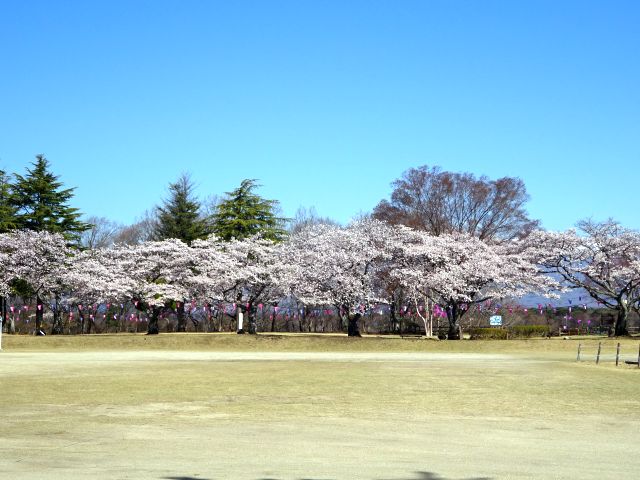 190416kuroiso1.jpg