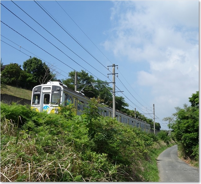 23【菜の花・1807号】も行きます