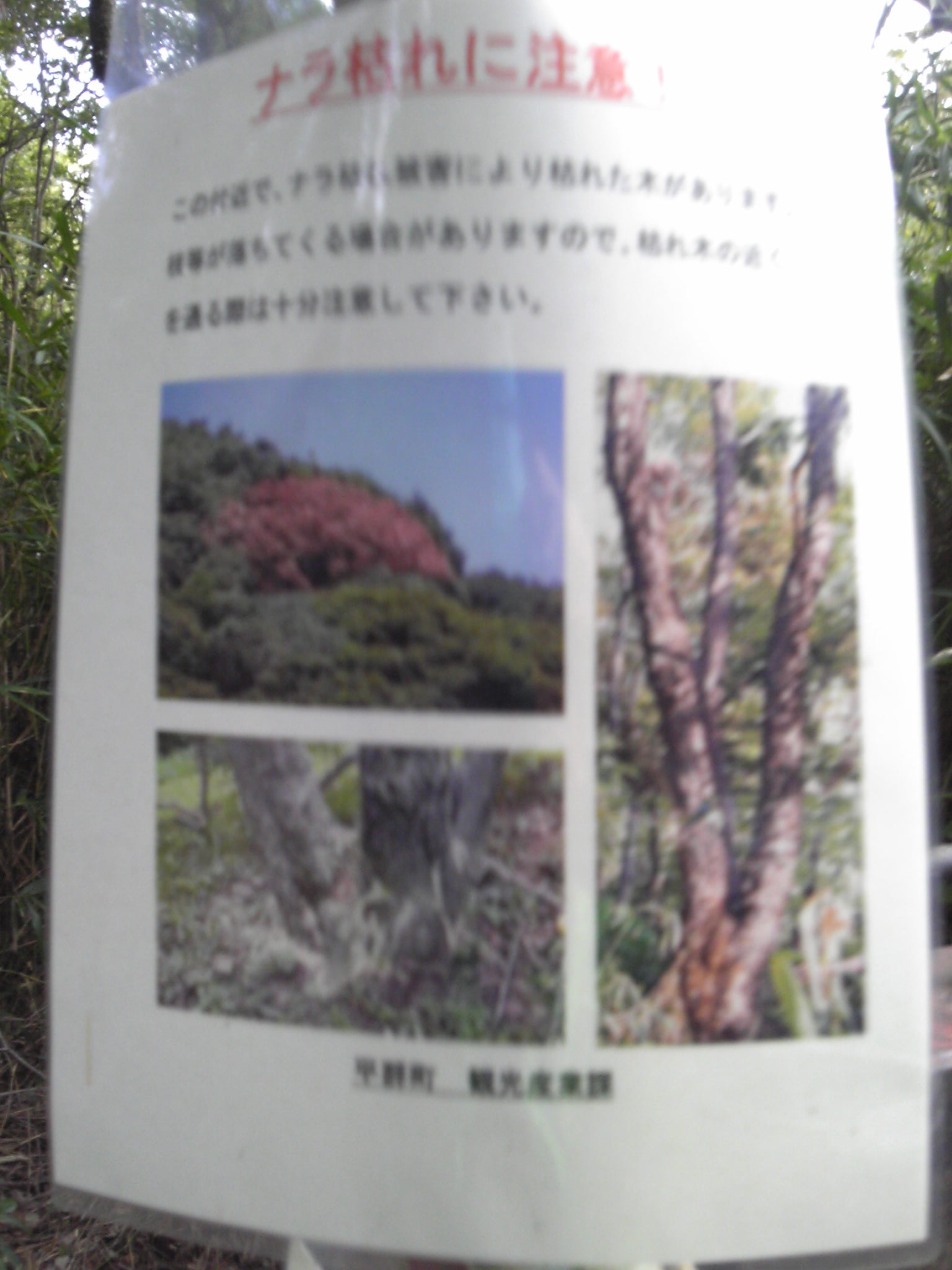 161012_155316.jpg
