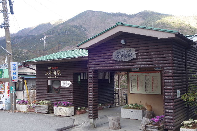 DSC03549.JPG