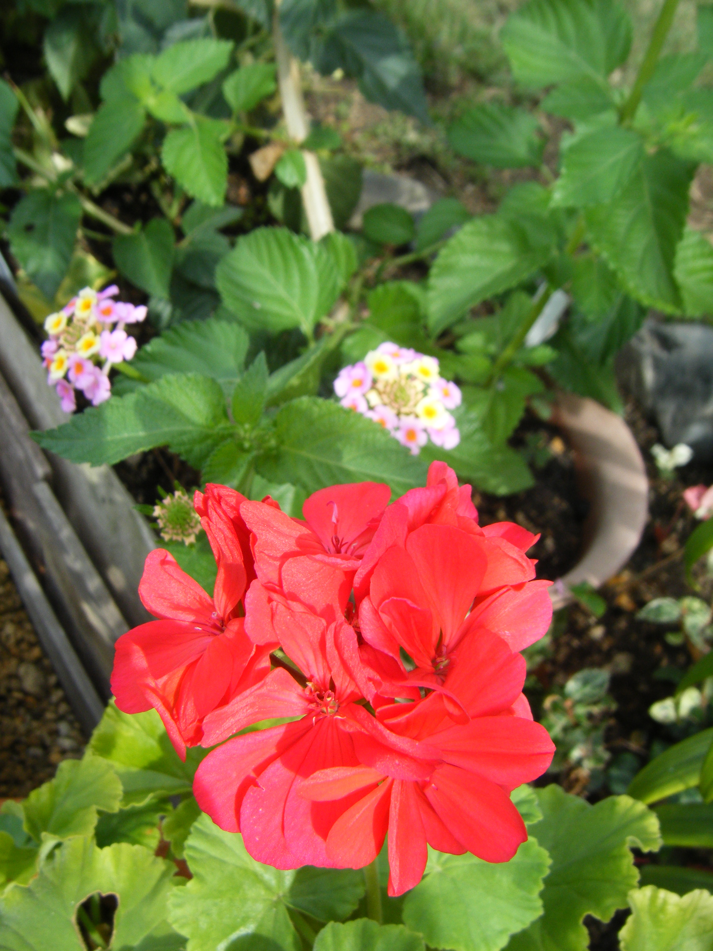DSCF0119.jpg
