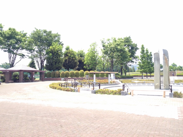 IMG_9067 (640x480).jpg