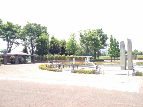 IMG_9067 (640x480).jpg