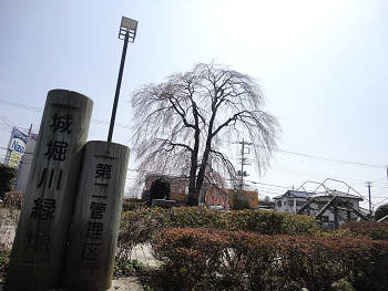 4.5  城堀川緑地s.jpg