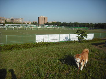momo250525.JPG