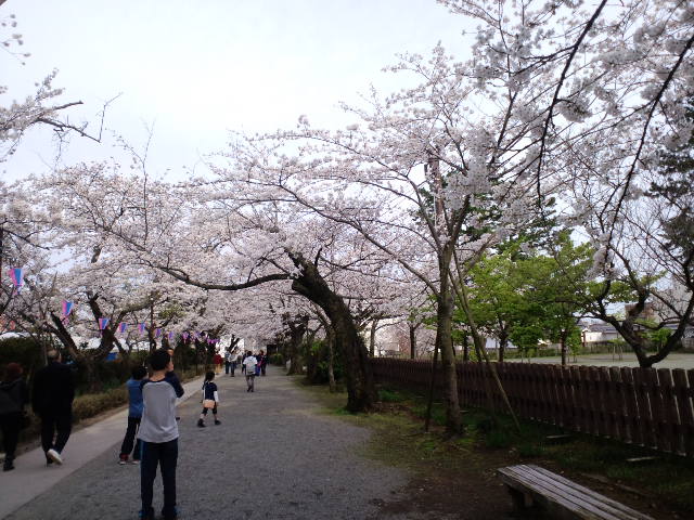 CA3C0222.JPG