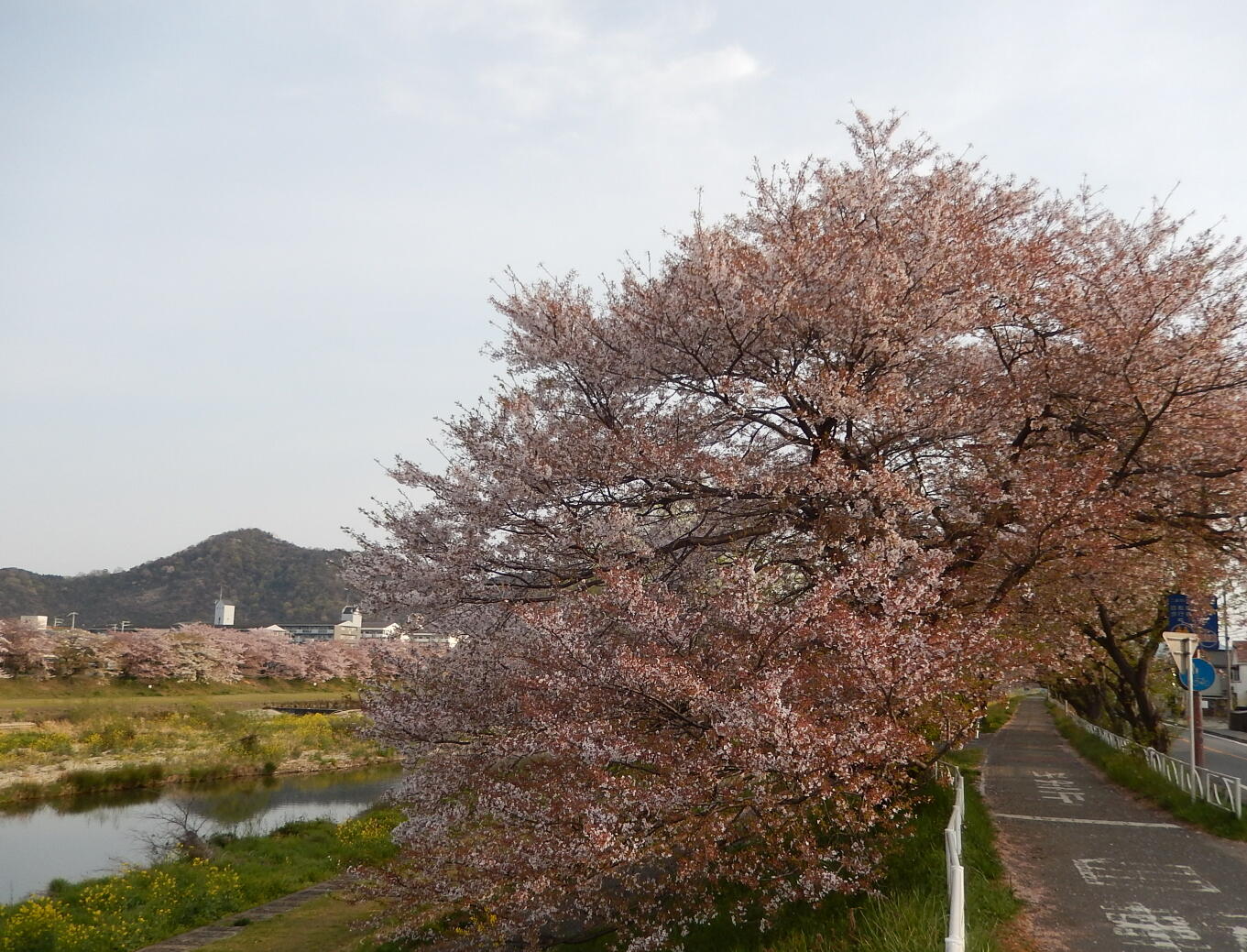 140413-1-4.jpg