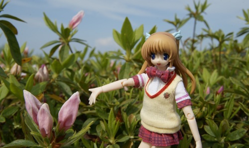 20150429植樹祭　06.jpg