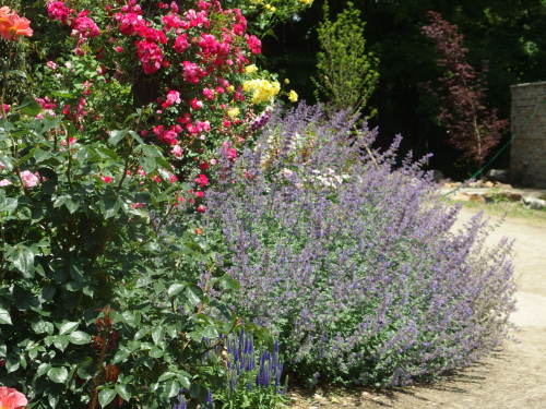 2015-06-10 12.07.29.jpg