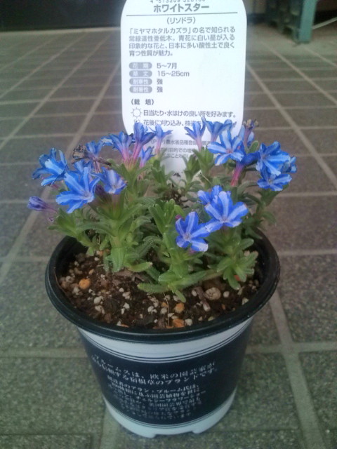 20120328145200.jpg