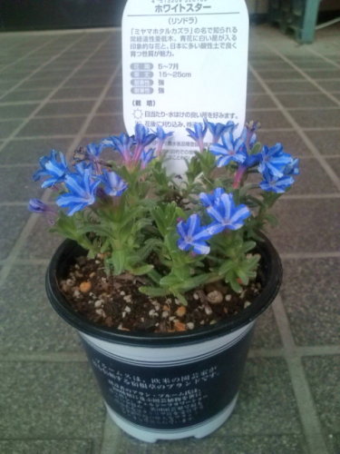 20120328145200.jpg