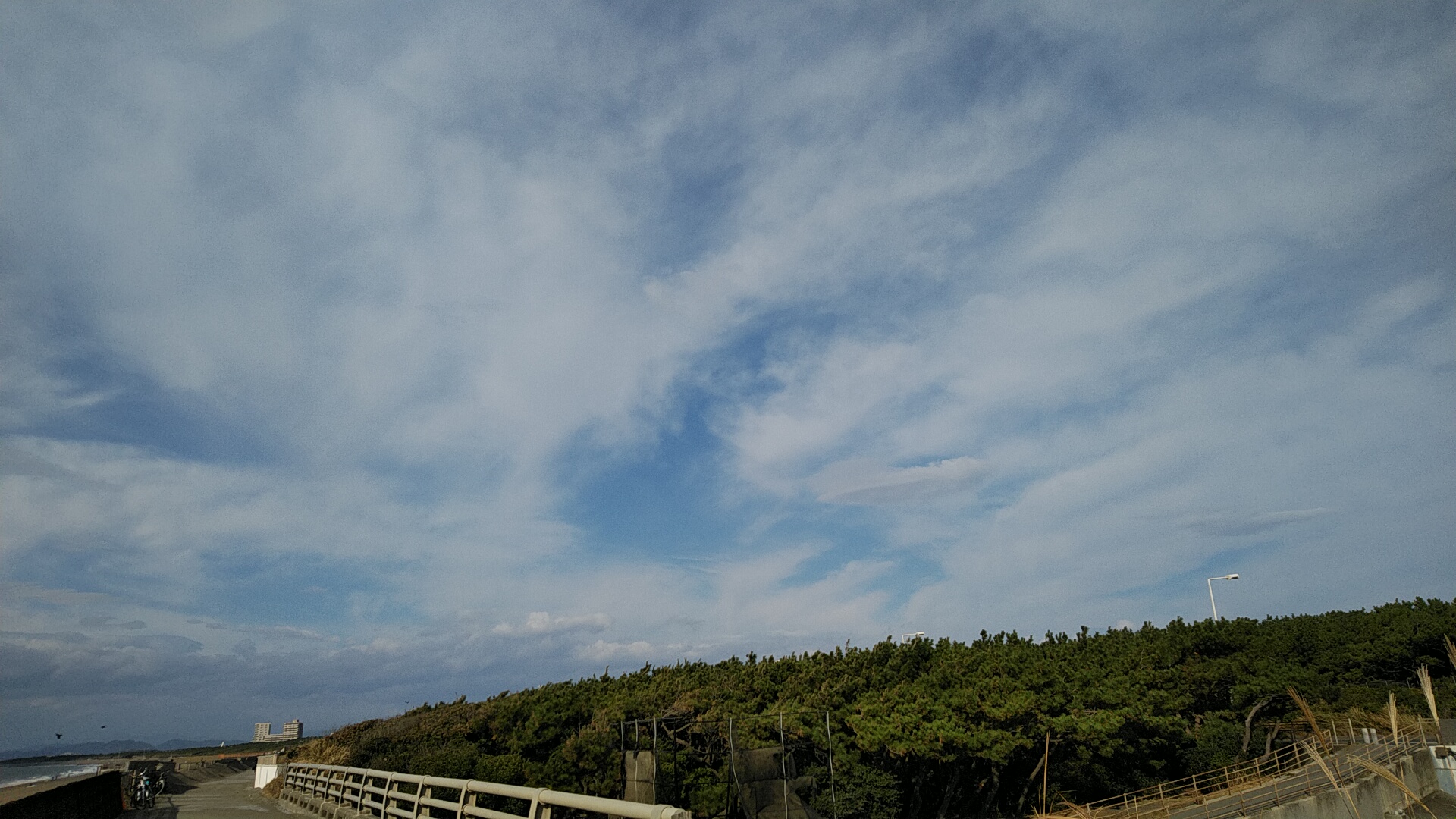 20221113  DSC_0002.jpg