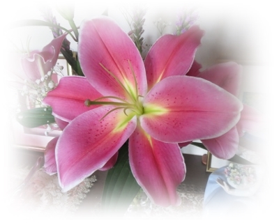 IMG_3446 (400x320).jpg