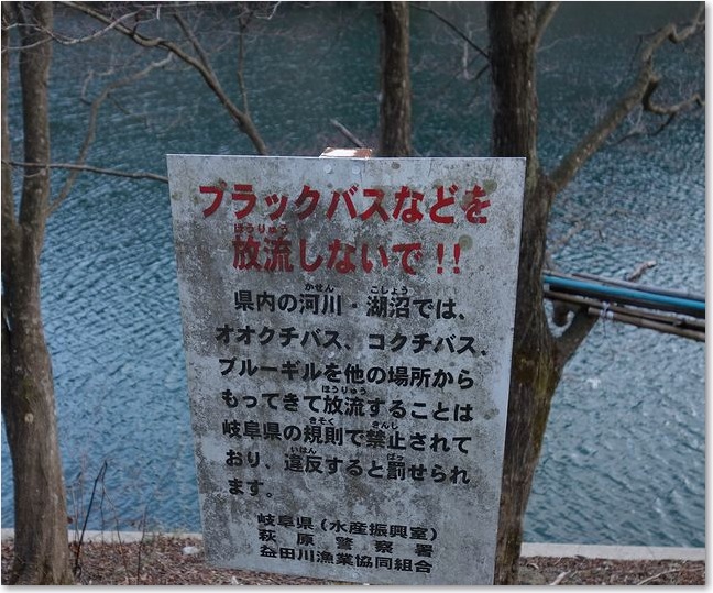 61ブラックバス