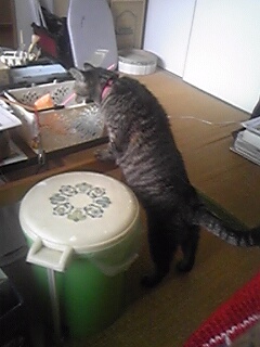 201102_143625.jpg