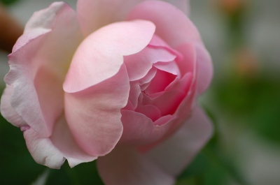 コピー ～ f 160.jpg