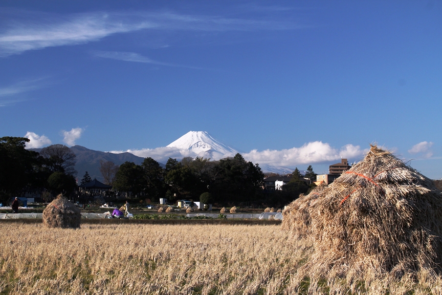 三島富士.jpg