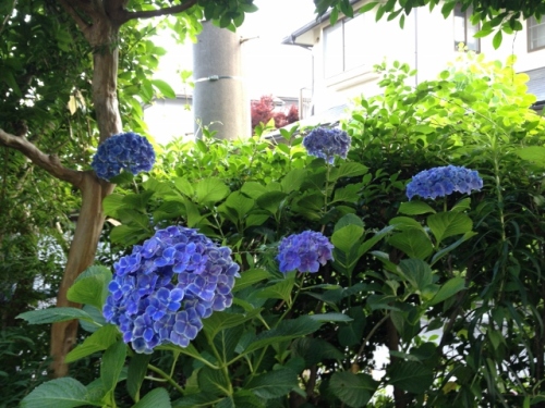 IMG_0473 (640x480).jpg