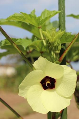 IMG_3721 - コピー.JPG