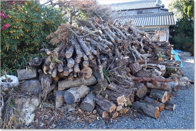 106剪定後の丸太？