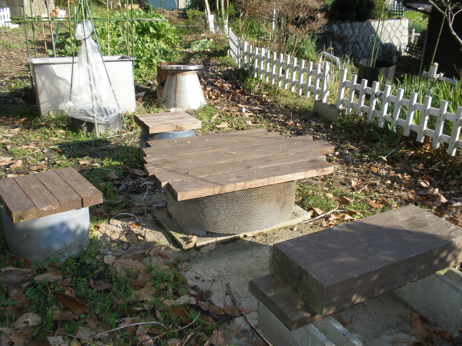 P1101749.JPG
