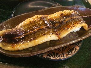 DSCN4945 (300x225).jpg