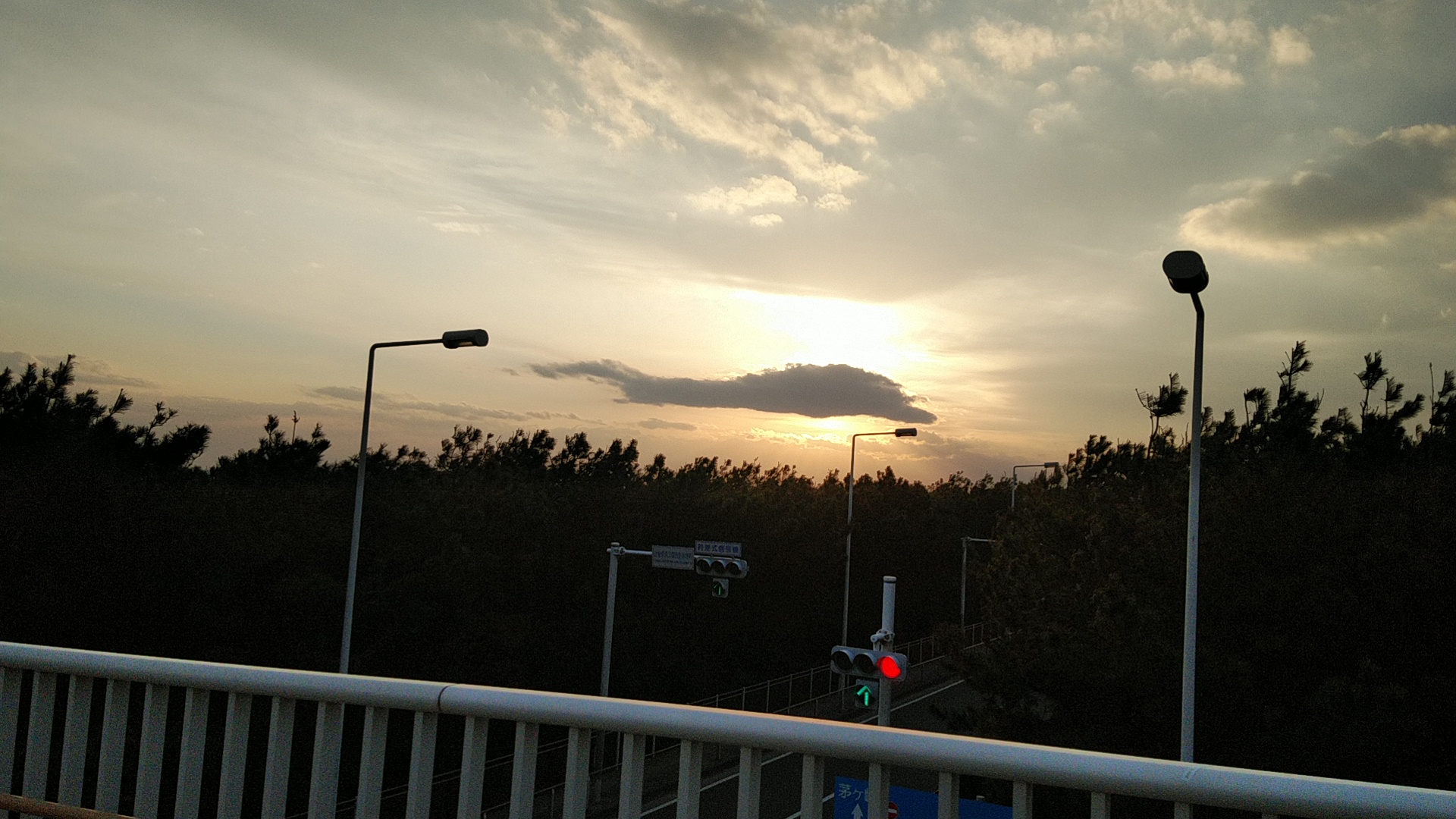 20190224  DSC_0001.jpg.jpg