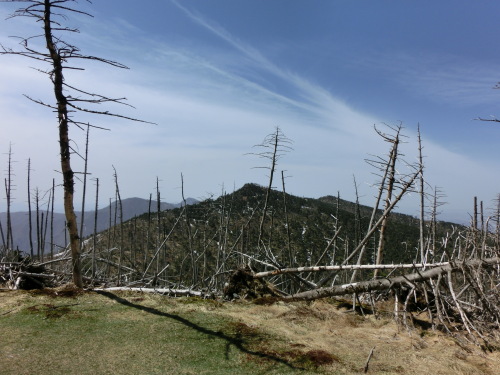 八経ヶ岳・稲村ヶ岳2012 020.JPG