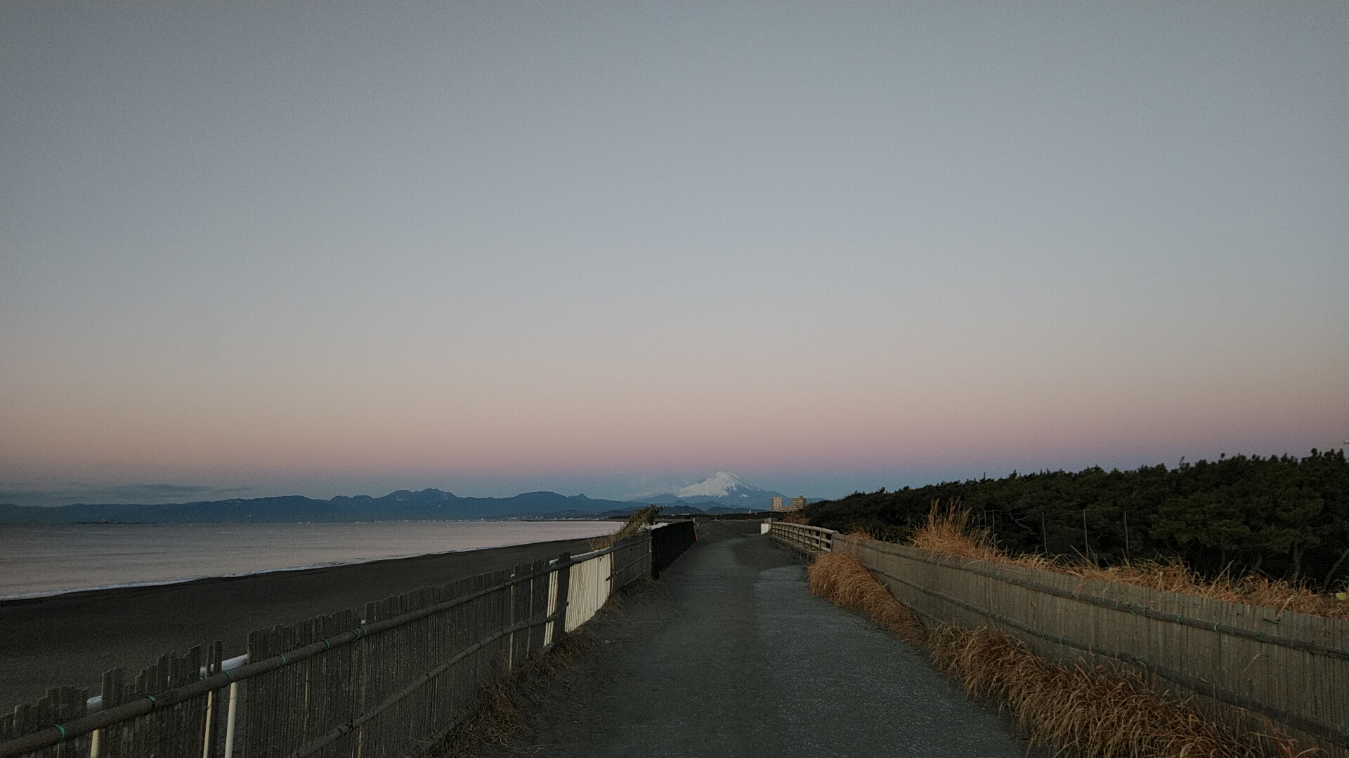 20230105  DSC_0002.jpg