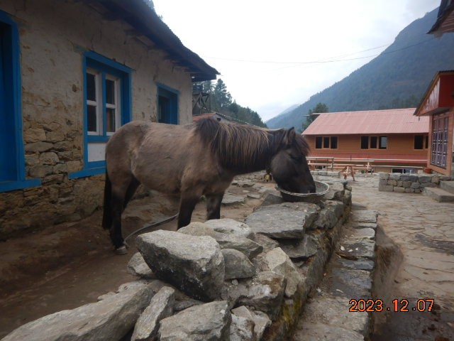 DSCN8018.JPG