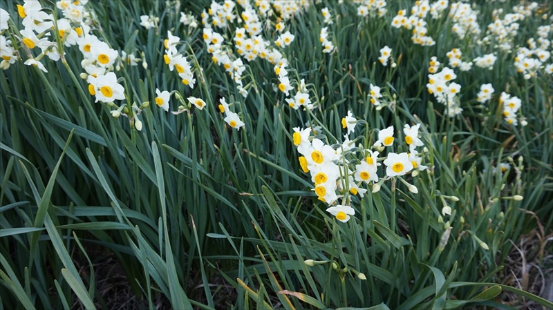 20150108 13371601.JPG