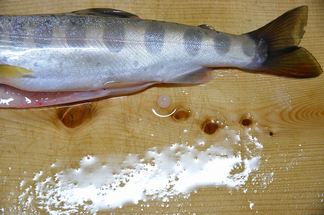 showPhoto (640×426)