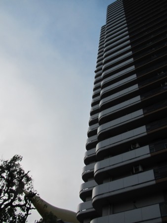 2012-5月13日 (6).JPG