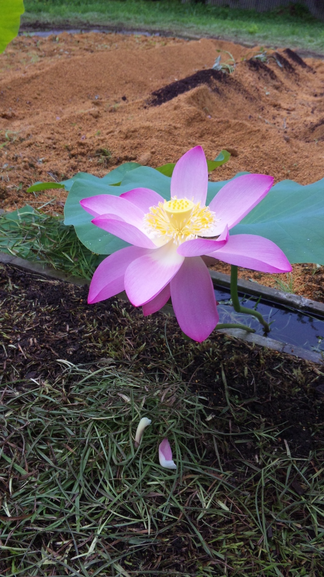 SH3D1038.jpg