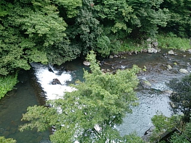 DSC_0532.jpg