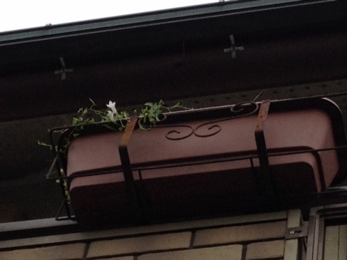 IMG_9194 (640x480).jpg