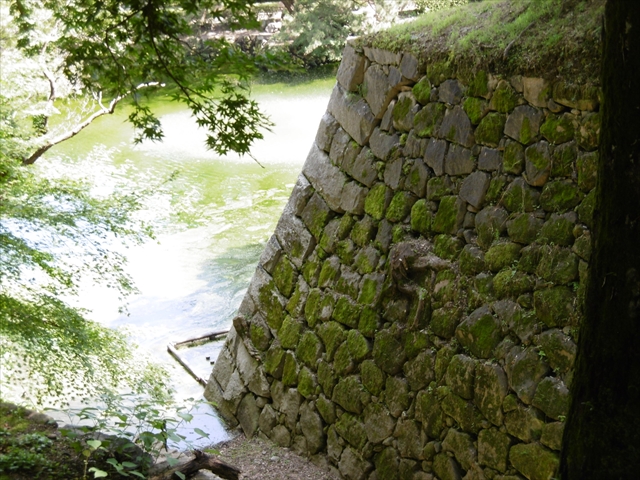 P1020055_R.JPG