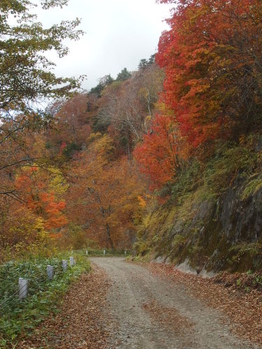 2015-10-13 11.10.51.jpg