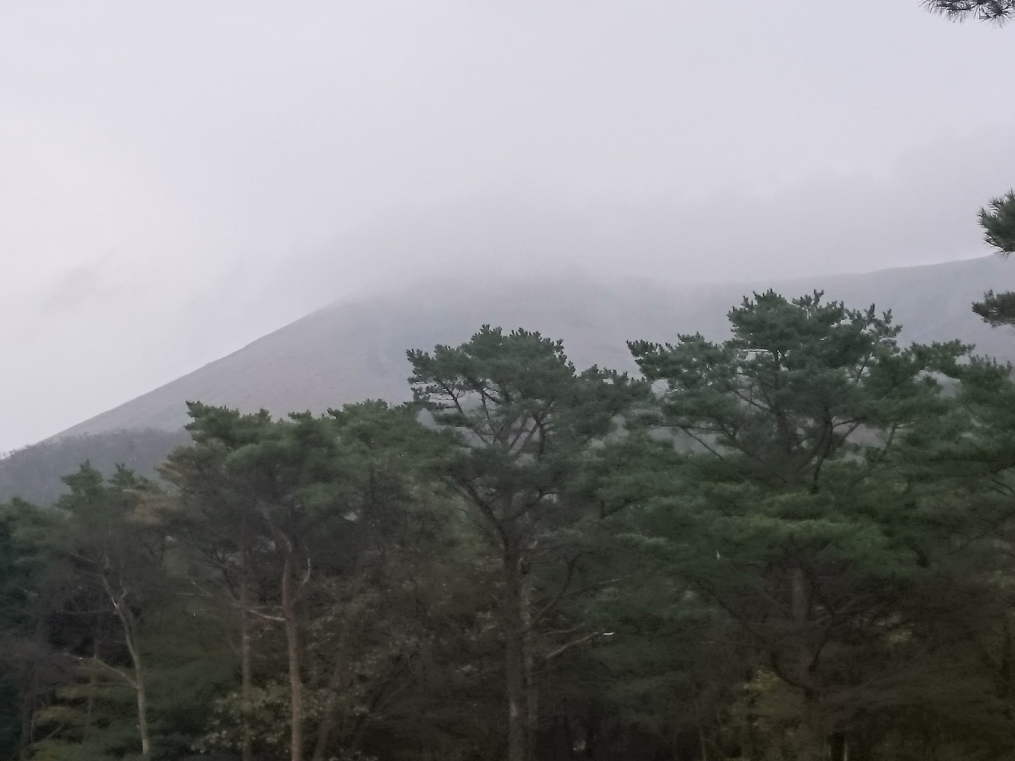 DSC_0995.JPG