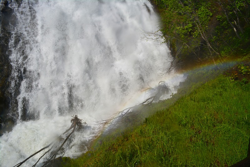 DSC_0066.jpg