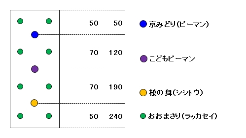 07ピーマン配置図.jpg