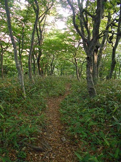 DSCN0957.jpg